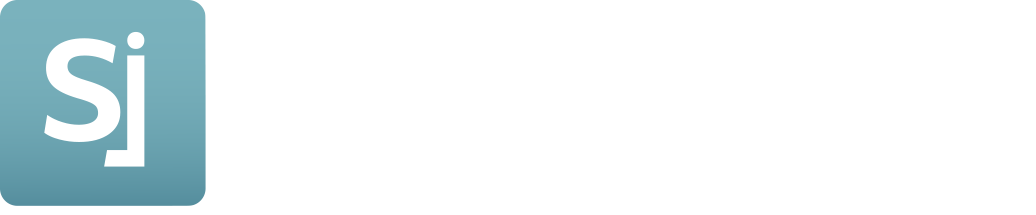 Logo Missão NY